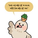 컬루 이미지