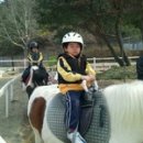 유성승마장 이미지