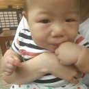 최고을맛집 이미지