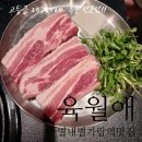 별내별가람역맛집 고등급 제주재래 흑돼지 전문점 방문후기! &lt;육월애&gt;