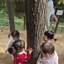 ​🌳 오솔길 걸으며 가을 속으로 퐁당! 이미지