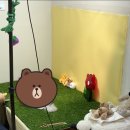 댕이룸 이미지