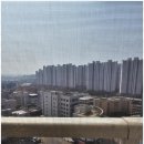 맞춤 시공으로 만족감이 컸던 단원구방충망 안산굿데이방충망 후기