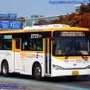 뉴대호운수 이미지