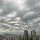 롯데호텔 월드 클럽라운지 해피아워 애프터눈티, 디너, 조식 후기 롯데호텔 호캉스 2탄입니당!
