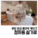 설기꽃