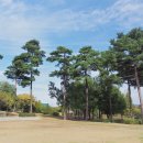 화랑유원지 이미지