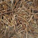 고사리마을회관 이미지