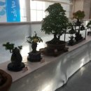 군산 군산근대역사박물관 전북도민일보