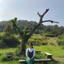 노을이쁜민박 이미지