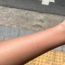 샵어페어 | Sun-Kissed Skin : 첫 기계 태닝 도전, 4회차 후기 및 비용 + TIP