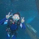 샬롯 노래방 | 오키나와 혼자여행 3박4일 뚜벅이 다이빙 스노쿨링 마린클럽베리 고등어봉초밥 이자카야