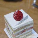 키친포포 이미지