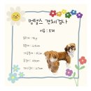 멍텔스컴바인 이미지