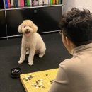 전민규의 황제누룽지탕 이미지