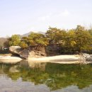 수승대 Daum카페