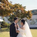 청주예식장추천 외국결혼식 느낌의 야외정원이 있는 스몰웨딩 [오하하우스웨딩] 하객후기