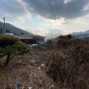 토지보건지소 이미지