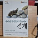 [김시준, 김현우, 박재용, EBS 다큐멘터리 ＜생명, 40억 년의 비밀＞ 작가팀] 경계 – 배제된 생명들의 작은 승리 이미지