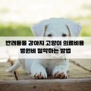 청려원 반려동물 센터 이미지