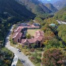 동해무릉건강숲 이미지