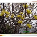 아미농장 이미지