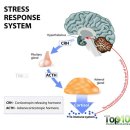 수메디컬 이미지