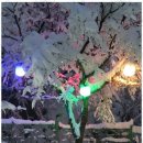 동해황토민박 이미지