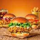 비에이치씨치킨(BHC치킨) 이미지