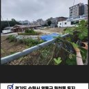 망포정직한공인중개사사무소 이미지