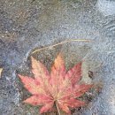 어답산 어슬렁빌리지 이미지