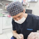 엘라비에 리투오 레누바 차이점 분석 | 가격·후기 완벽 비교