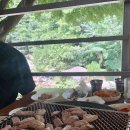 태양가든 이미지