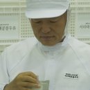 참콩물
