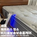 치움 | 세종 매트리스 소파 청소 업체 비치움보송보송홈케어 대만족 후기