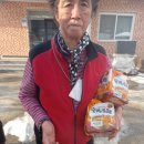 월야가스 이미지