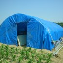 이천단월초등학교 이미지