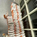 비호관 | 두근두근 42경산_1기 1차 라피신 시작!_(상)