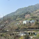 관아 수제차 이미지