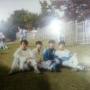 닭갈비예찬 이미지