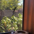 옹포민박 이미지