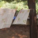 양남병설유치원 이미지