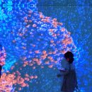 조미진의키크는아이소아청소년과의원 | 광주 아이그랑 소아청소년과에서 성장 성조숙증 검사한 솔직 후기