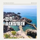 노벰버리조트 | 국내 스노클링 명소 경주 송대말등대 방문 후기