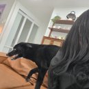 꼴보네 | 진애씨는 패를 보고 치나 봐? 개웃긴 평택&amp;삽교호 나들이 (feat.오진쏨젤)