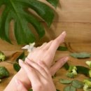 샵(#)뷰티 이미지