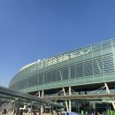 한타총판(주) | 킨텍스 메가주 방문 후기｜반려인이라면 꼭 가봐야 할 킨텍스 반려동물 박람회 리얼 후기