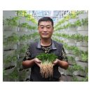 승현이네 이미지