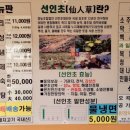 생오리마당 이미지