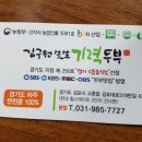 김구원선생기력두부 이미지